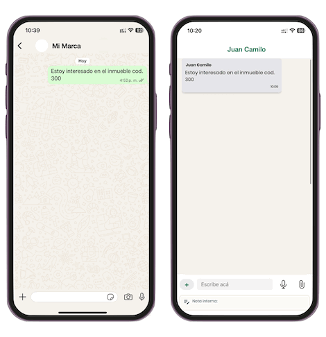 Vista previa de Chat Estelar